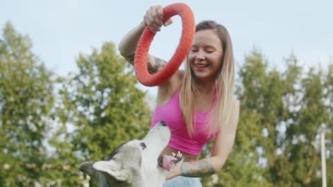 Dog playing.