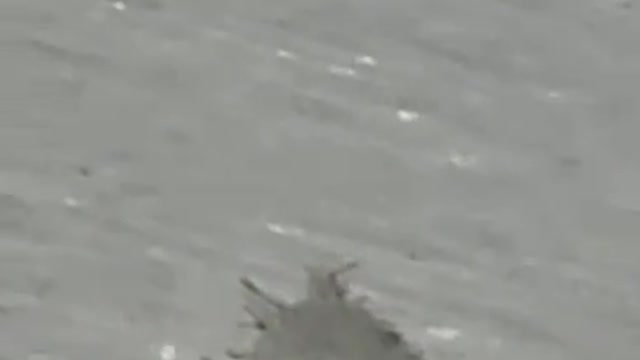 🚨WARNING: PCR TEST🚨