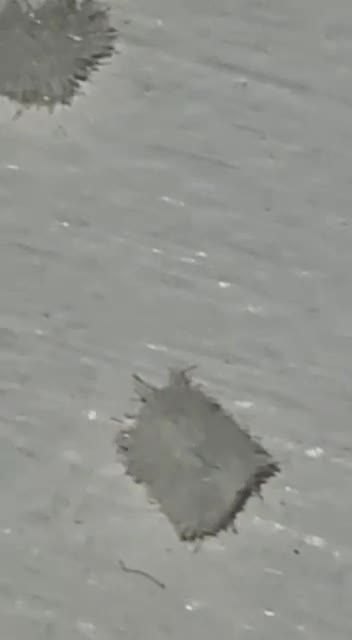 🚨WARNING: PCR TEST🚨