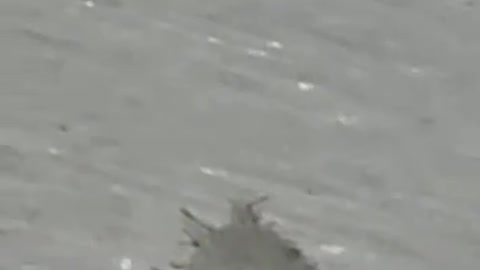 🚨WARNING: PCR TEST🚨