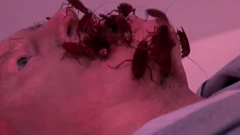 I hope YOU Swallow a Roach when you sleeping tonight. Creepshow Horror Buenas Noches Edition. 💀