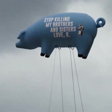 “No es tan complicado, dejen de matar a mis hermanos y hermanas en Palestina. Detengan el genocidio”