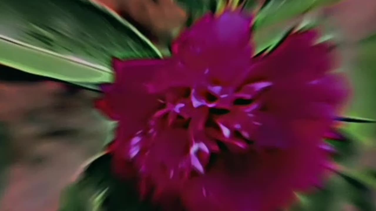 song