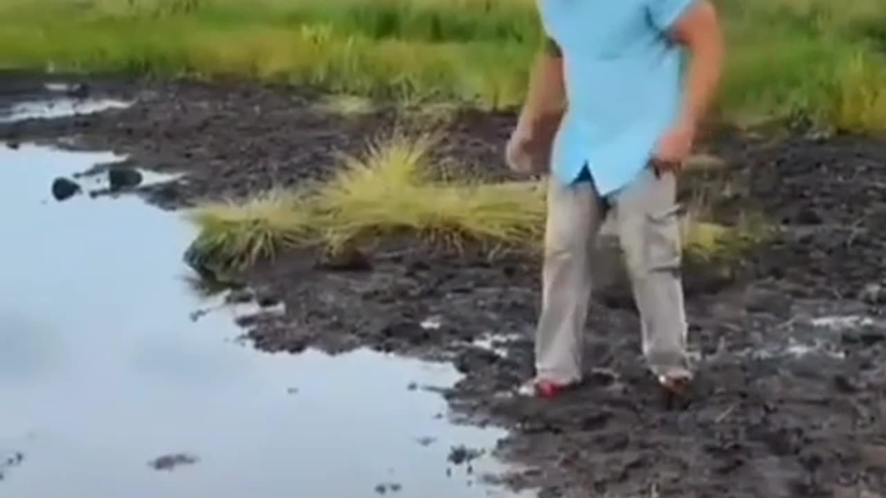 So funny video clip