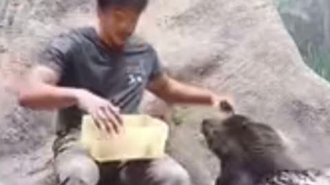 The way he feed them all !!