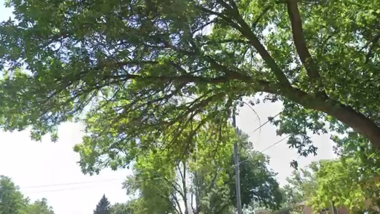 Are used to live here with the merchant family what a nightmare