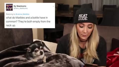 Reacting to Hateful Comments About My Beloved Dog