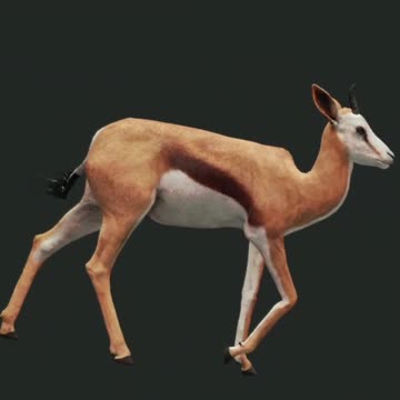 The Guinea Pig Deer Hunter Call of the Wild