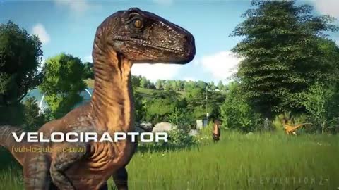 Field Guide Velociraptor