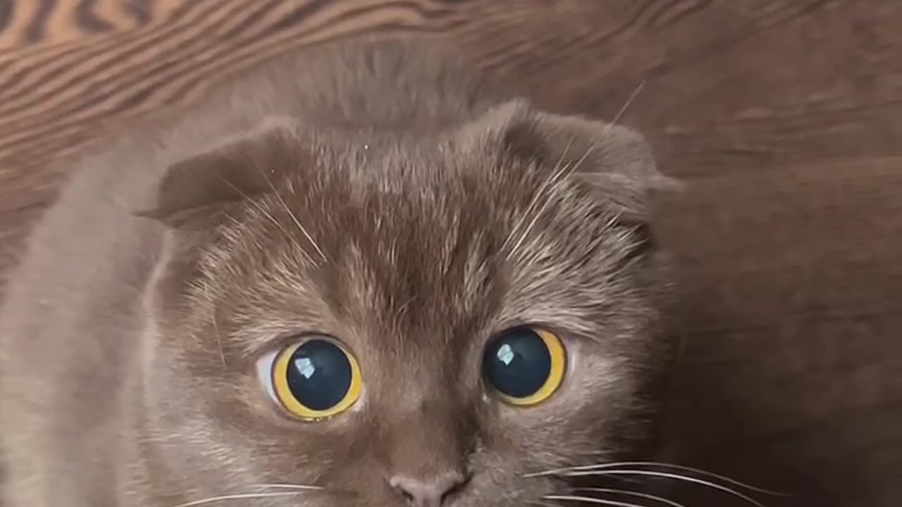 When you see someone you like 😍