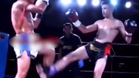 "Mastering the Art of Combat: A Comprehensive Guide on How to Fight"