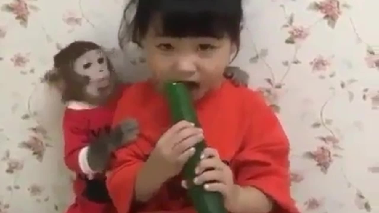 Belly monkey