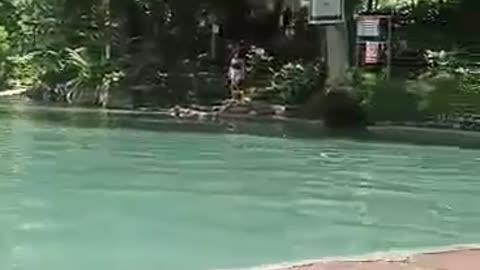 Must Visit, One Of The Best Philippines Natural Spring Resort