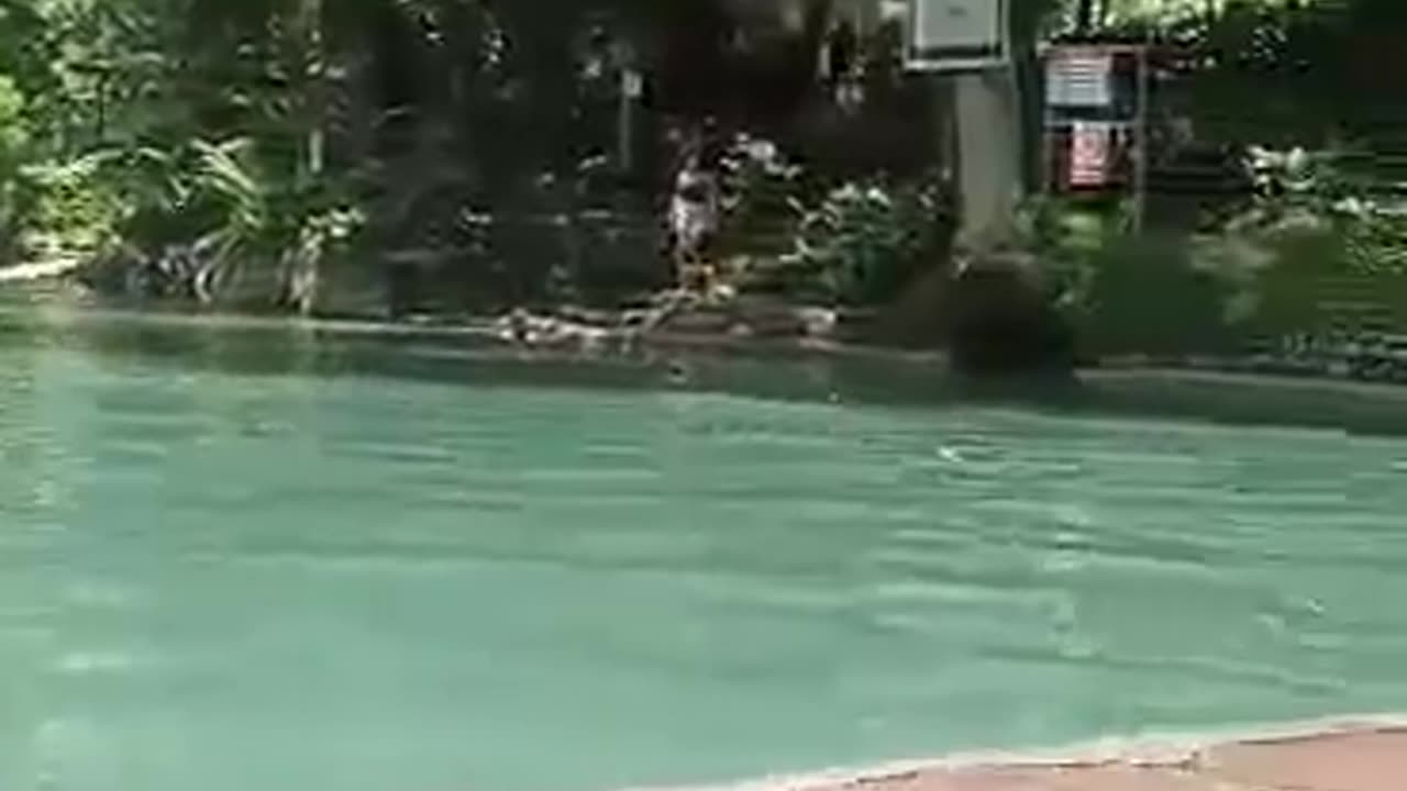 Must Visit, One Of The Best Philippines Natural Spring Resort