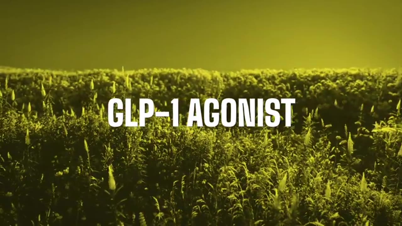 US Sports Partner Spotlight: Dr. Berg