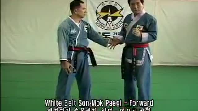True AUTHENTIC Hapkido