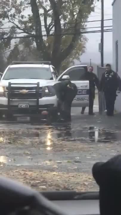 Police Officer Gets Punched By Suspect, His K9 Partner Becomes A Fur Missile