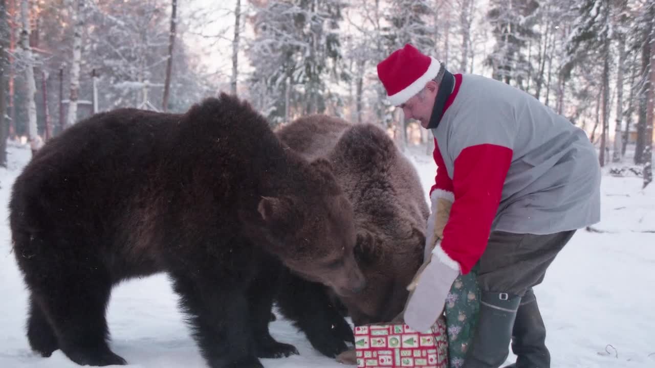 Hyvää Joulua toivoo Suurpetokeskus. Merry Christmas