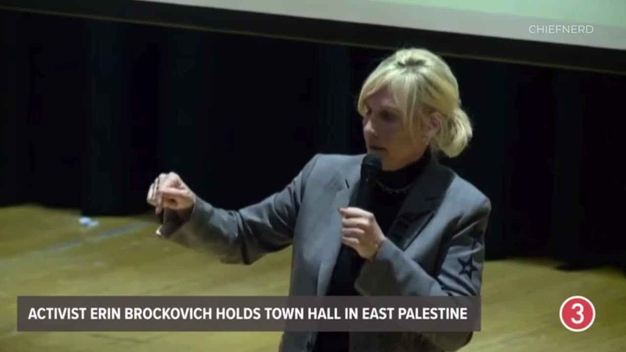 Erin Brockovich Holds Town Hall In East Palestine To Help Residents Prepare For The 'Long Game'