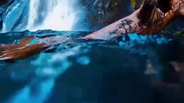 Recall the past, such as fragmentary,