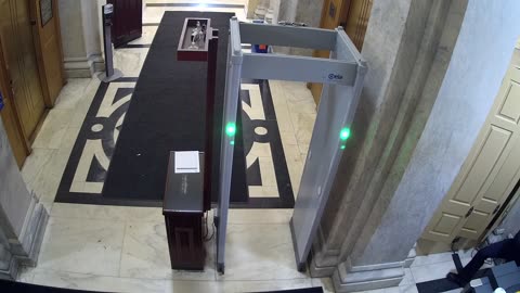 0163USCH01HouseCarriageDoor_2021-01-06_07h09min28s407ms.mp4