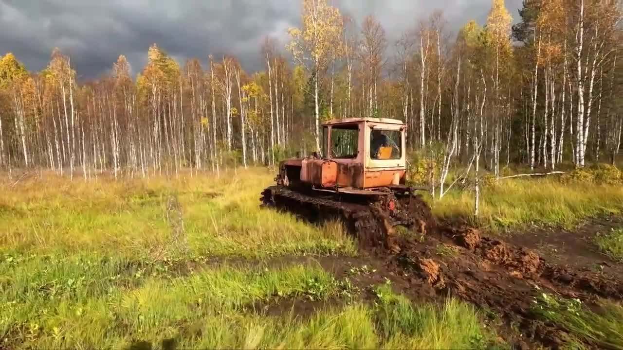 This is the best video I've seen in a long time!