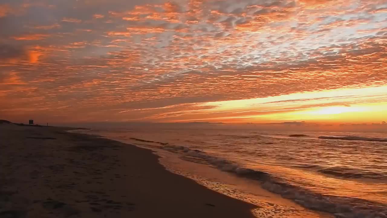 Nature Sunset beach video full graphic