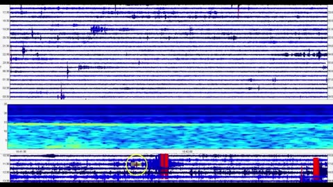 Mary Greeley News-Two Weeks of Military Drills And Yellowstone M2.8 Earthquake Buffalo Fork Fault