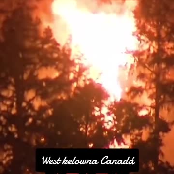 Canada Gone 🇨🇦 😭