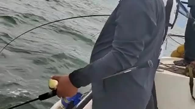 Skill Sea Top Water Fishing Spinning Fishing