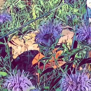 Cartoon Pollinating Bee