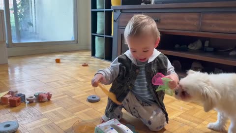 Montessori Baby Toys for 6+ Month Old