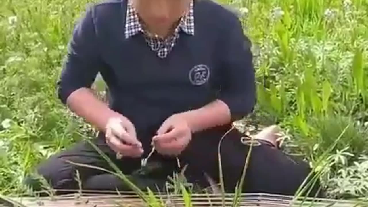 A beautiful voice
