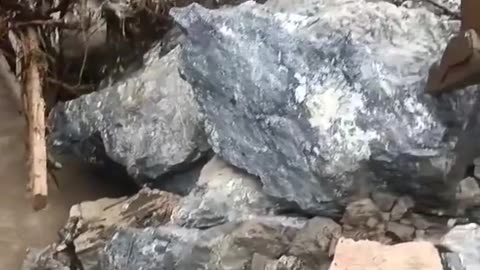 Helping a fox with tail caught under a rock