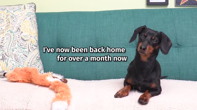 Crusoe's health update, and a special announcement !