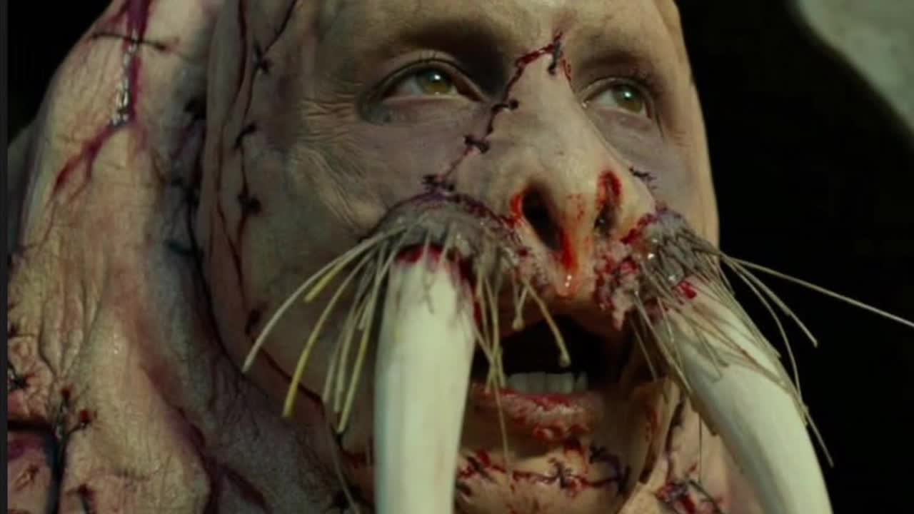 Walrus king 2