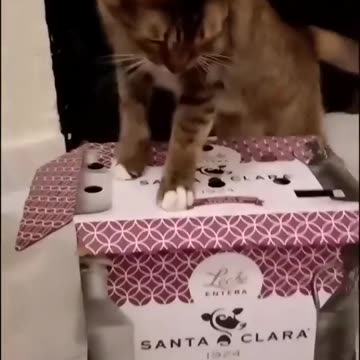 #FYP #ForYou #TikTokFYP #ForYouPage #Trending #Viral #ExplorePage #FYPシ