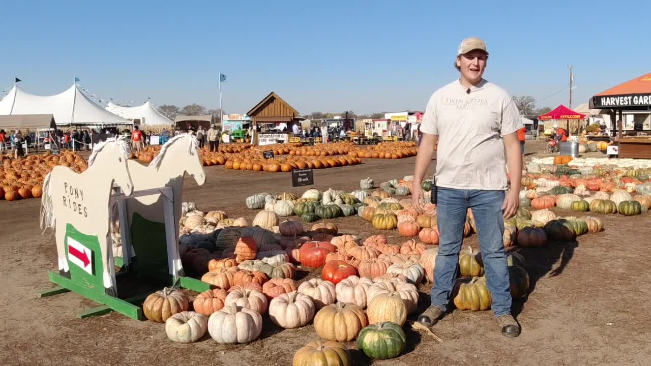 Minnesotans flock to corn maze amid glorious weather