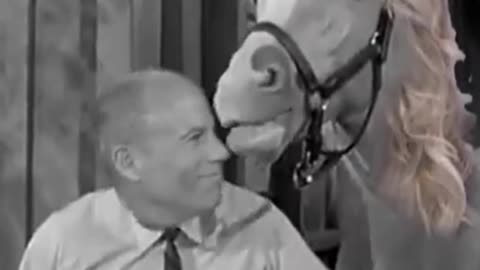 I always loved this video that Stormy Daniels and Michael Avenatti made.
