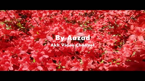Relaxing Music | Sleeping, Meditation, Stress Relief | [621] ⭐️