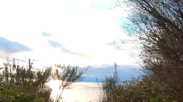 Bluff trail Fort Ebey State Park. Love how the bluff weaves in and of the trees