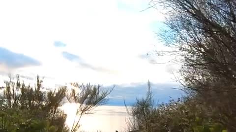 Bluff trail Fort Ebey State Park. Love how the bluff weaves in and of the trees