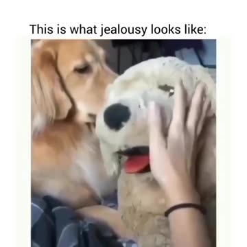 This is what jealousy looks like😂😍