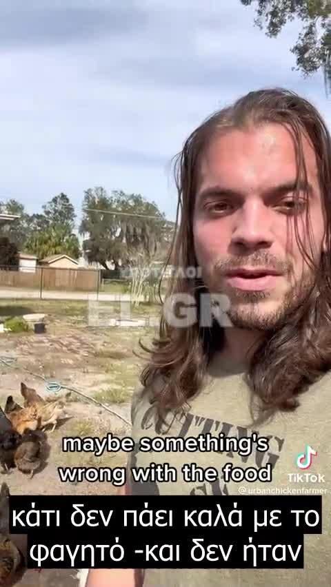 Έχει μολυνθεί η τροφή κοτόπουλου;