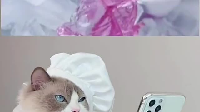 Sometimes it gets a bit brutal 🤣