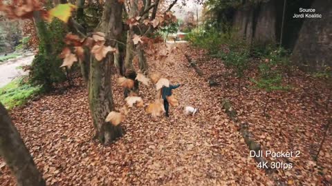 5 AUTUMN CREATIVE VIDEO TRICKS