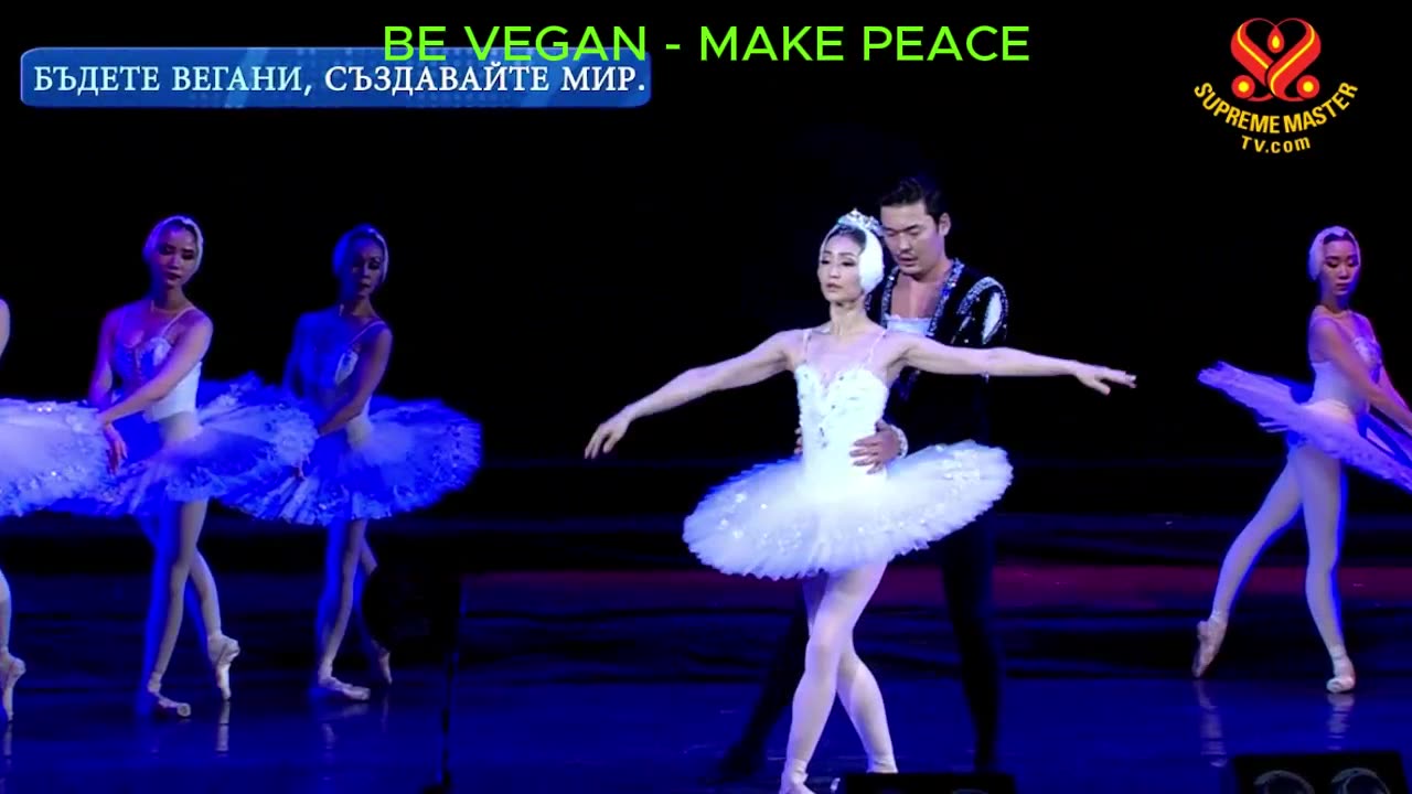 swan lake dance - viral