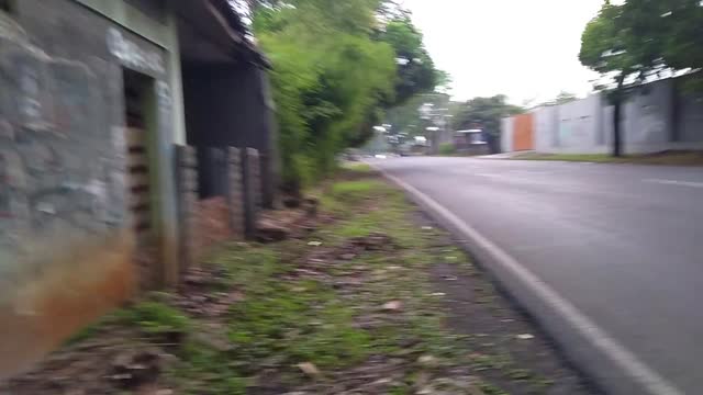 Take A Walk In Cicadas Subang