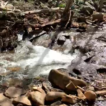 EVER WONDER WHERE IT FLOWS ?