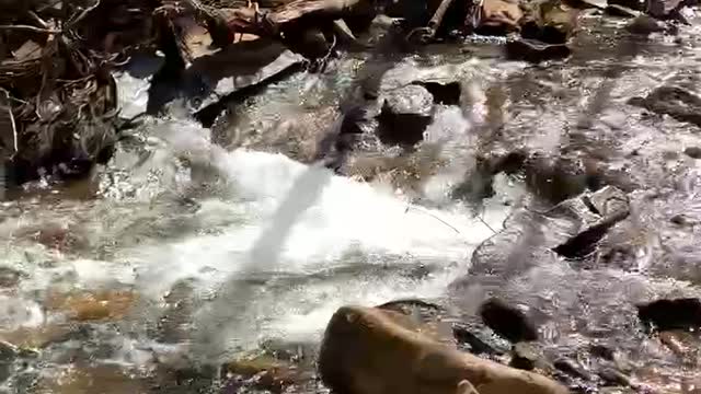 EVER WONDER WHERE IT FLOWS ?